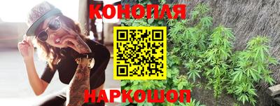 соль ск Лесосибирск