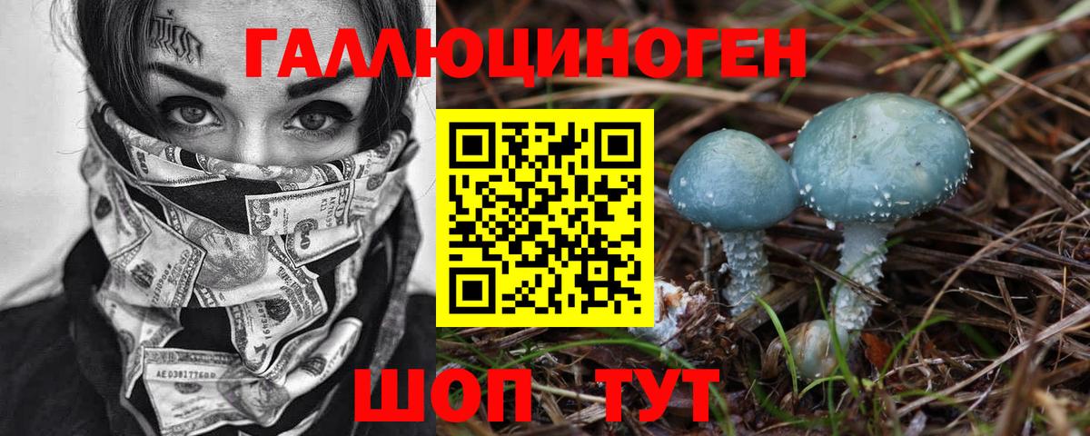 Псилоцибиновые грибы Psilocybe Воскресенск